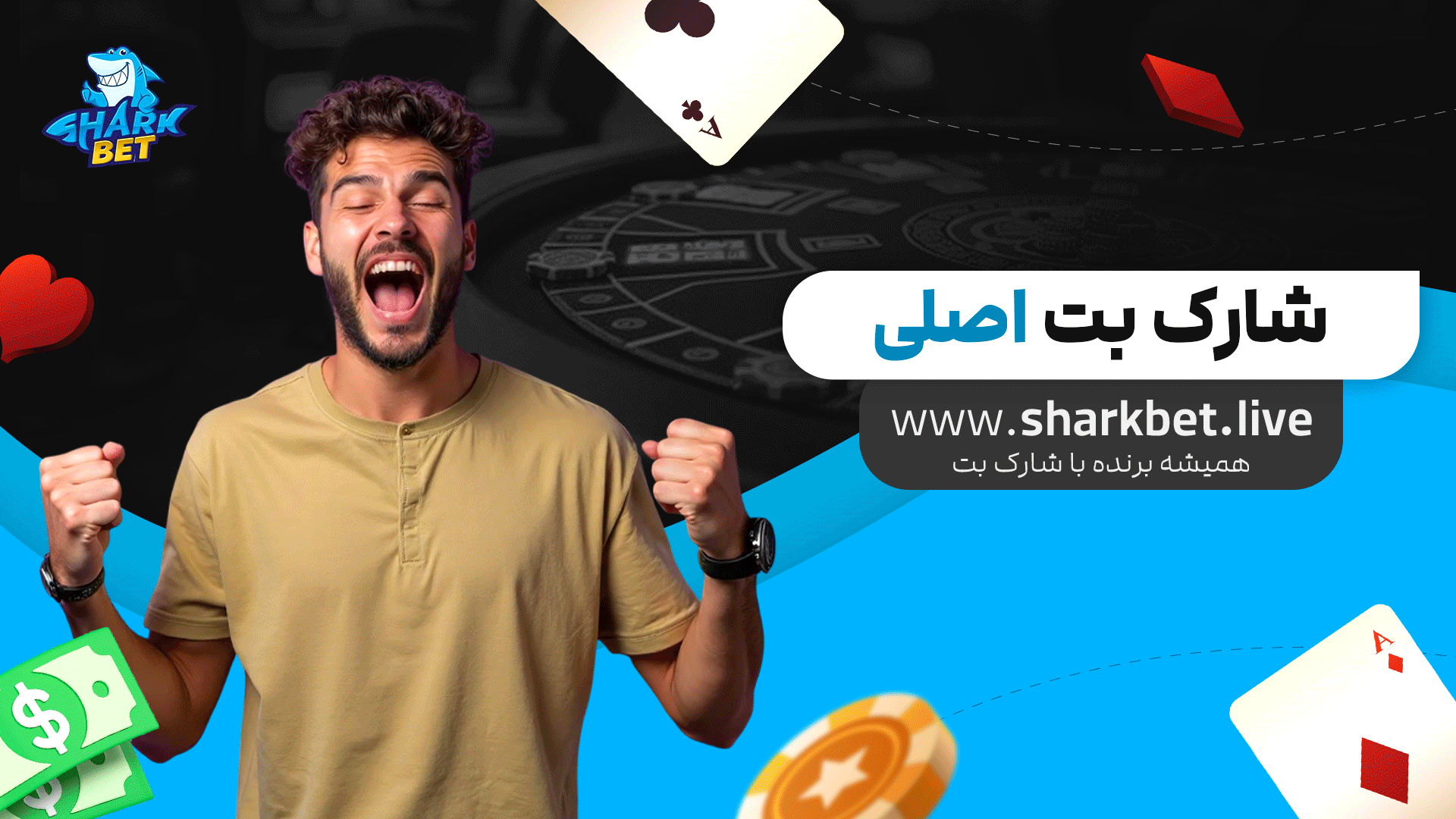 شارک-بت-اصلی